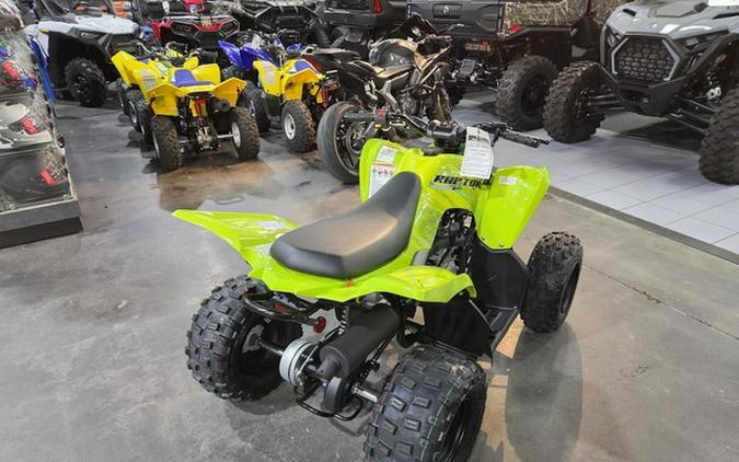 2026 Yamaha Raptor 110