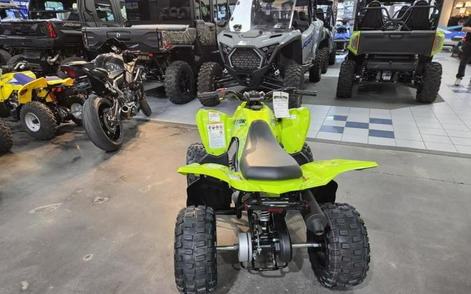 2026 Yamaha Raptor 110