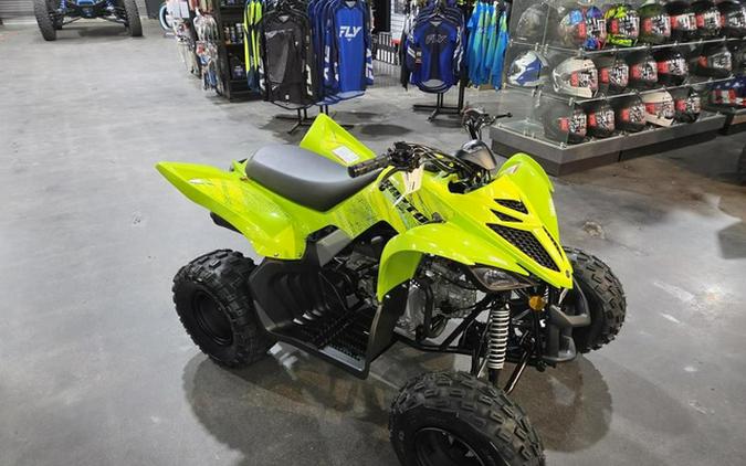 2026 Yamaha Raptor 110