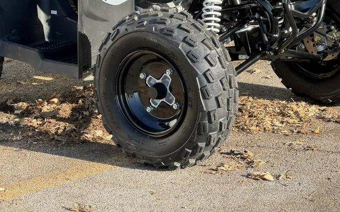 2025 Polaris® Phoenix 200