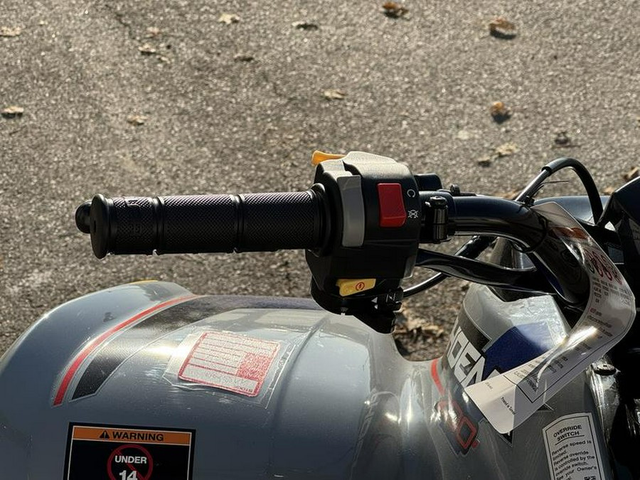 2025 Polaris® Phoenix 200