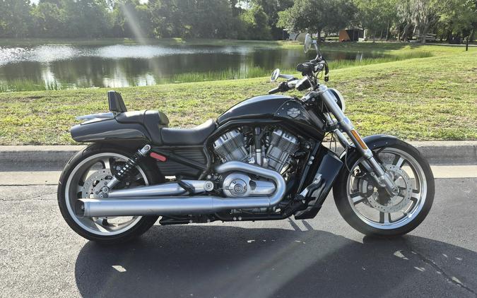 VRSCF 2017 V-Rod Muscle