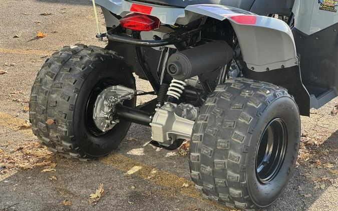 2025 Polaris® Phoenix 200