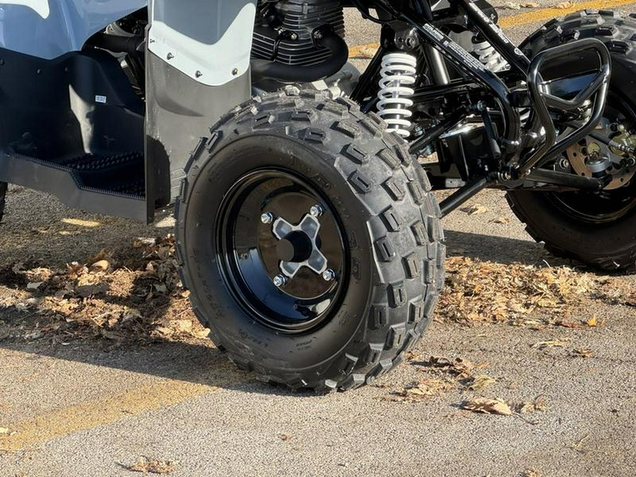 2025 Polaris® Phoenix 200