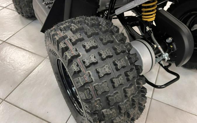 2026 Can-Am Renegade 70 EFI