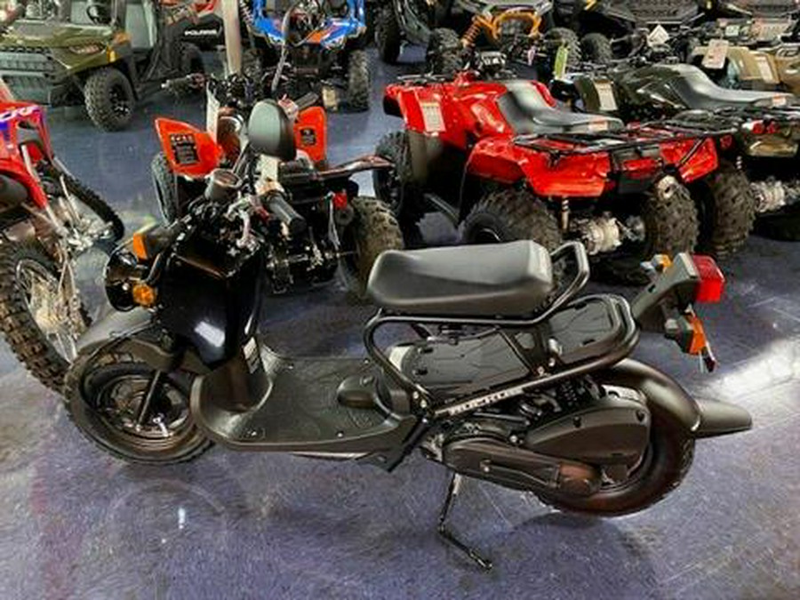 2024 Honda Ruckus