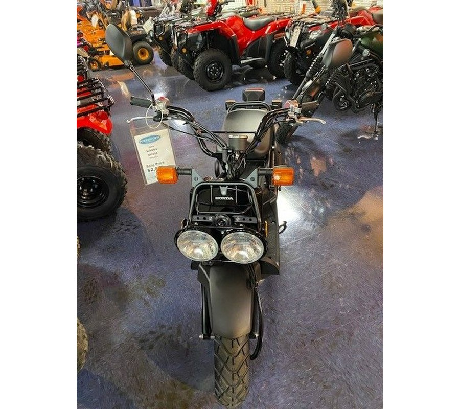 2024 Honda Ruckus