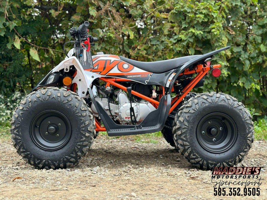 2025 Kayo Predator 125 EFI