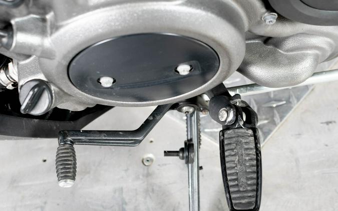 2024 Harley-Davidson Nightster RH975