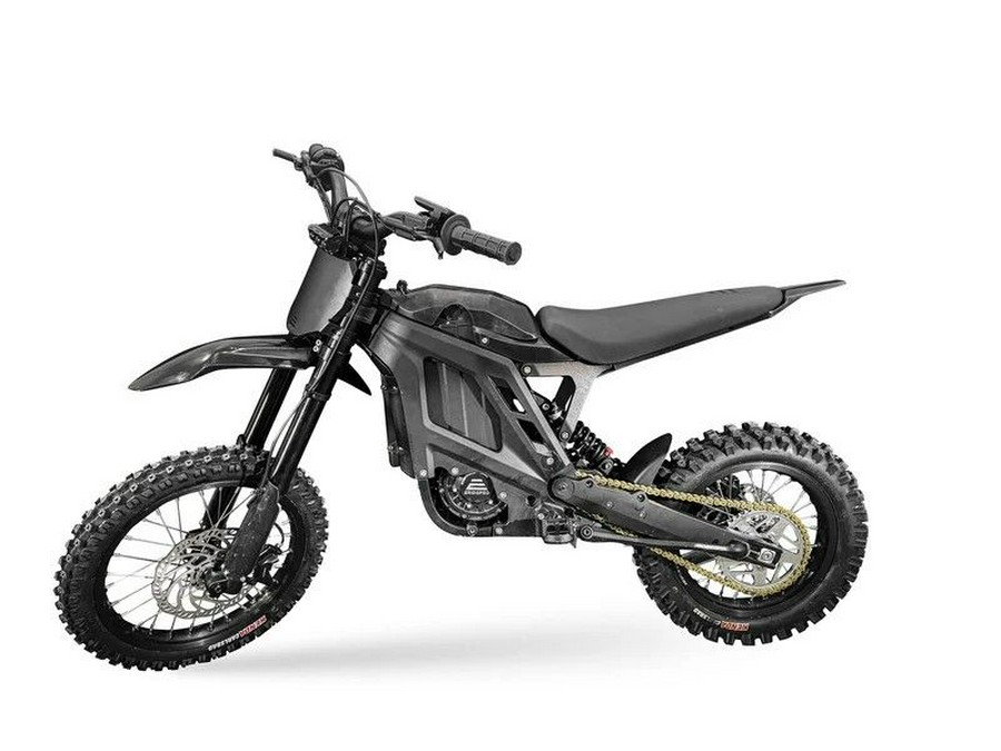 2025 E-Ride Pro Mini