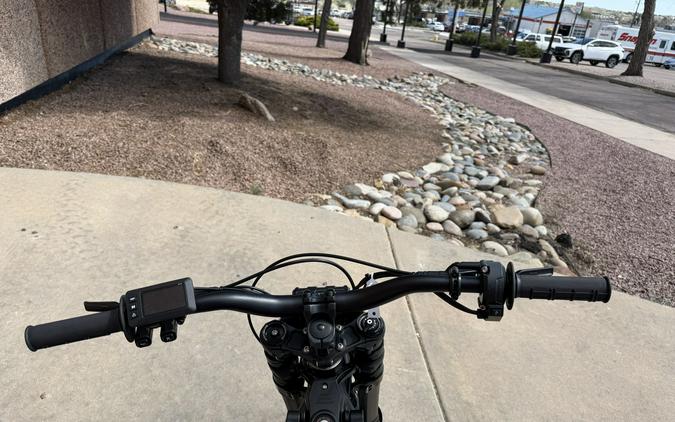 2025 E-Ride Pro Mini