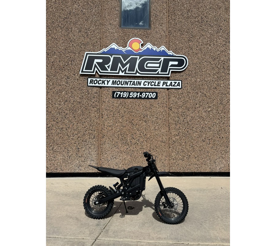 2025 E-Ride Pro Mini