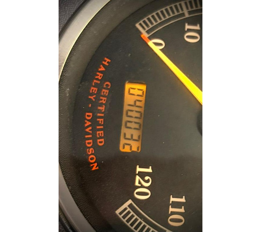 2001 Harley-Davidson FXST/FXSTI Softail® Standard
