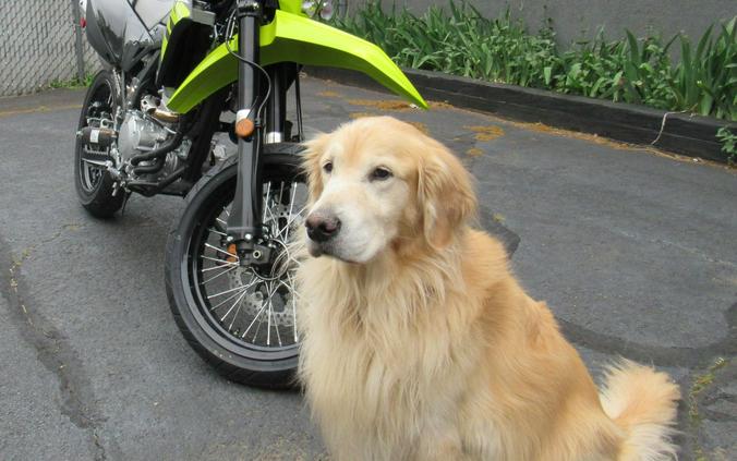 2026 Kawasaki KLX®300SM