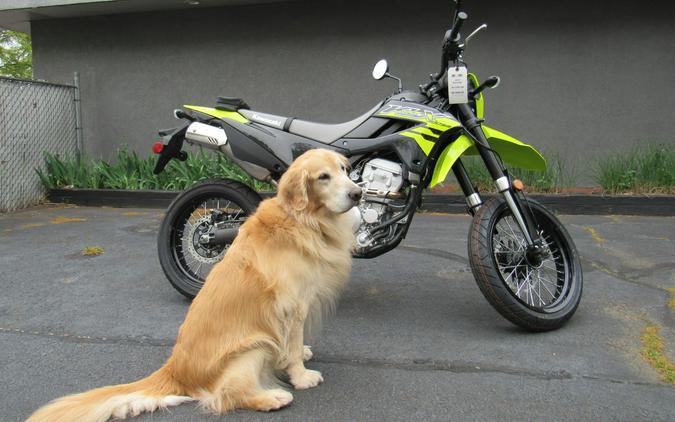 2026 Kawasaki KLX®300SM