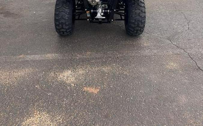 2026 Honda® Pioneer 520