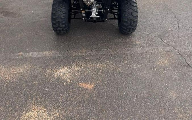 2026 Honda® Pioneer 520