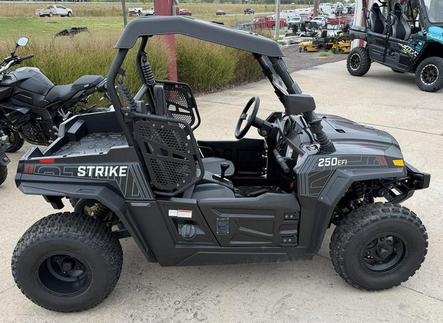 2021 Hisun Motors Strike 250