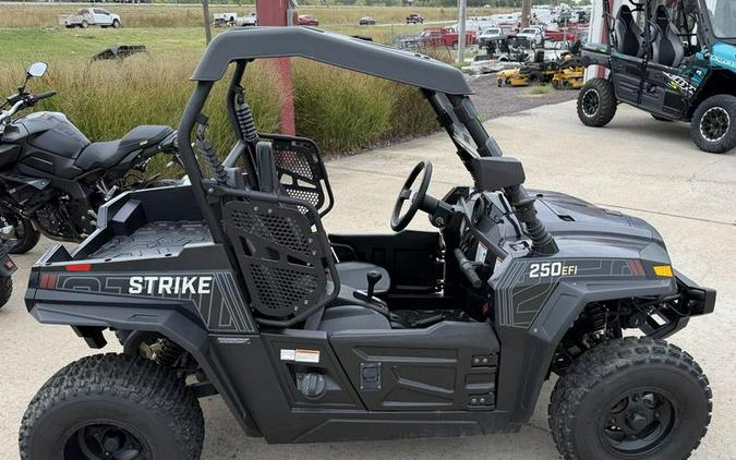2021 Hisun Motors Strike 250