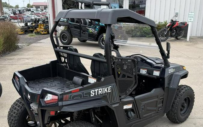 2021 Hisun Motors Strike 250