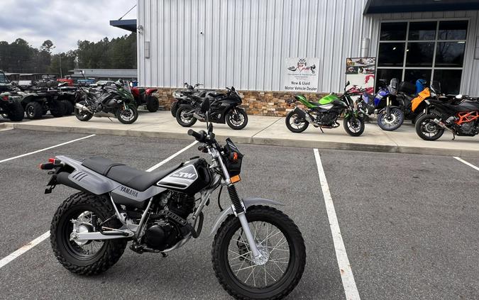 2023 Yamaha Motor Corp., USA TW200