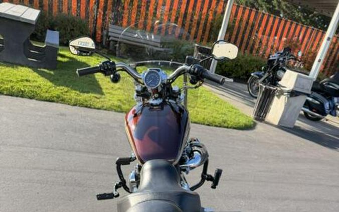 2018 Harley-Davidson Iron 1200 XL 1200NS