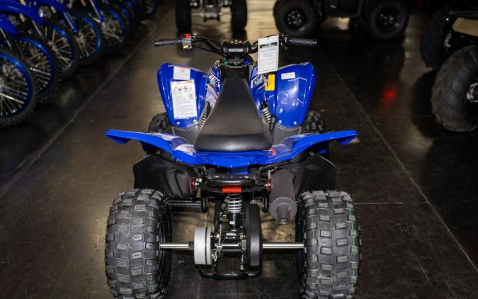 2026 Yamaha Raptor 110