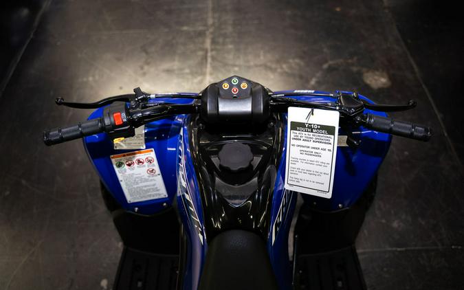 2026 Yamaha Raptor 110