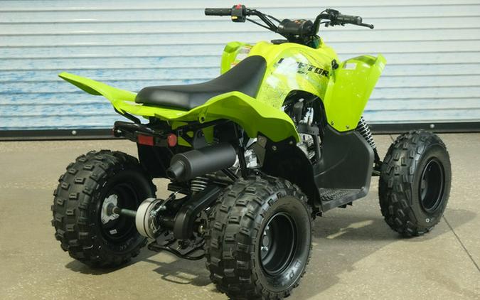 2026 Yamaha Raptor 110
