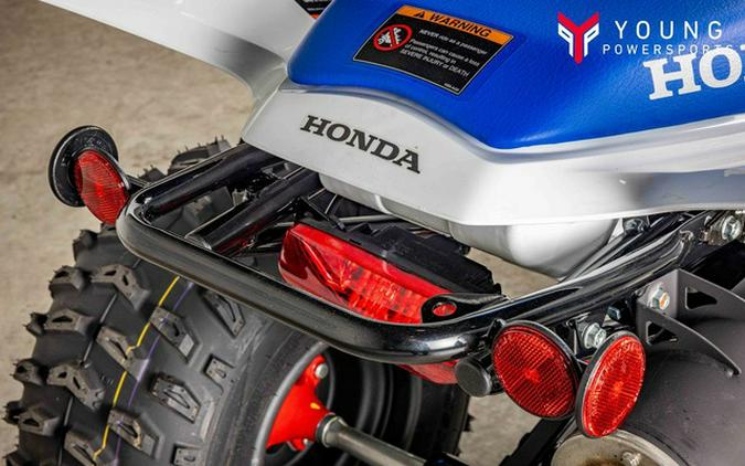 2026 Honda TRX 250X