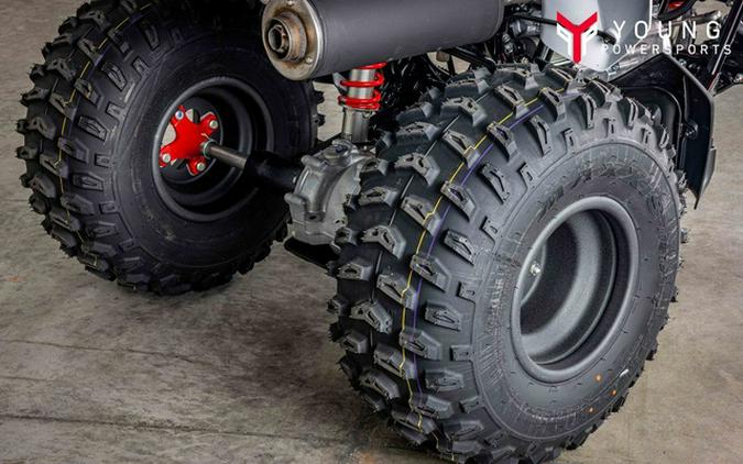 2026 Honda TRX 250X
