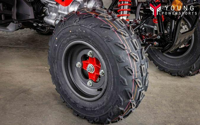 2026 Honda TRX 250X