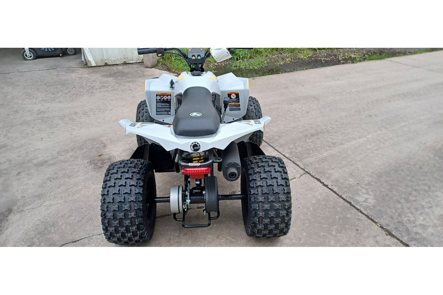 2024 Can-Am RENEGADE 110 EFI