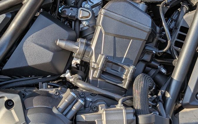 2024 Honda Rebel 1100 DCT