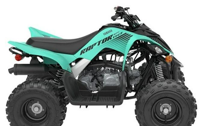 2025 Yamaha Motor Corp., USA Raptor 110