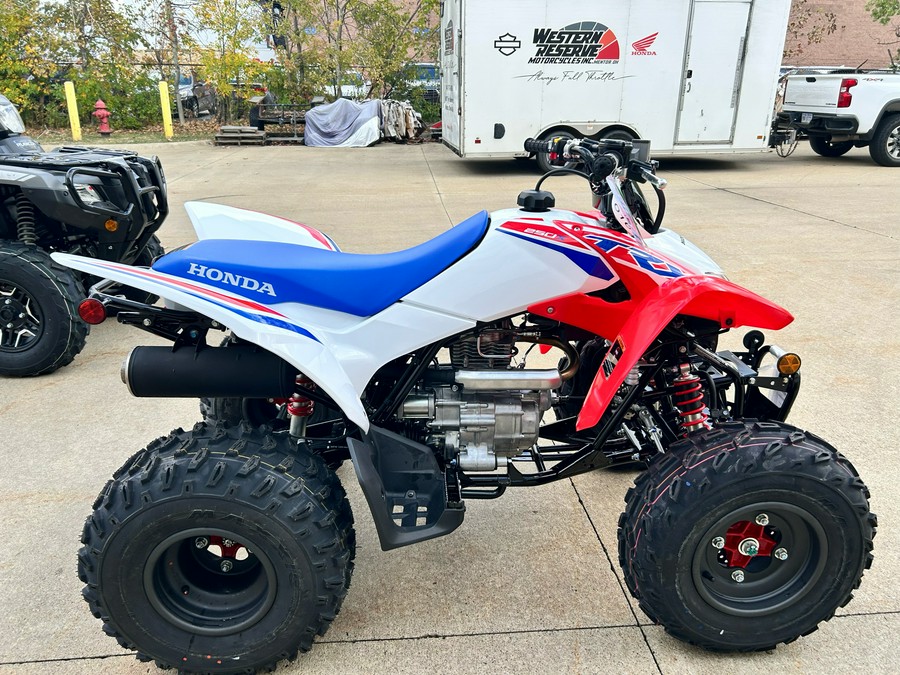 2026 Honda TRX250X
