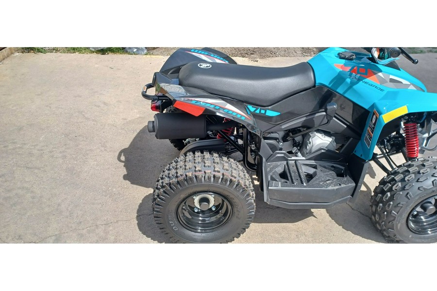 2024 Can-Am RENEGADE 110 EFI