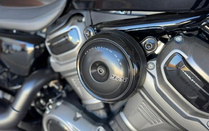 RH975S 2023 Nightster™ Special