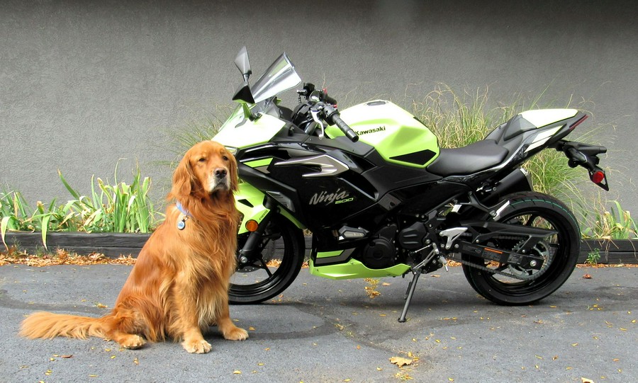 2026 Kawasaki Ninja 500 SE ABS