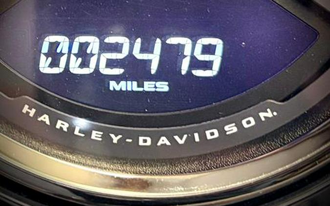 2023 Harley-Davidson Fat Boy® Anniversary
