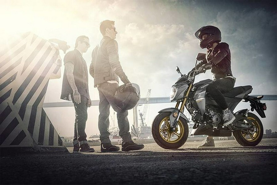 2024 Kawasaki Z125 PRO Base