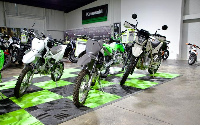 2026 Kawasaki Brute Force® 300