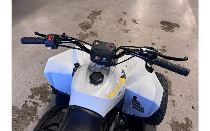 2025 Renegade 110 EFI - Can-Am