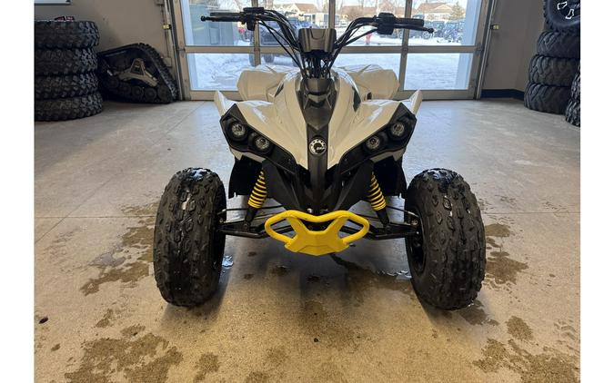 2025 Renegade 110 EFI - Can-Am