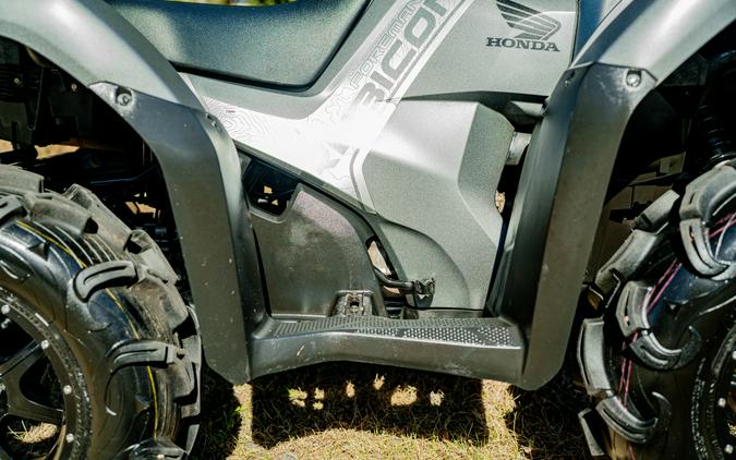 2025 Honda FourTrax Foreman Rubicon 4x4 EPS