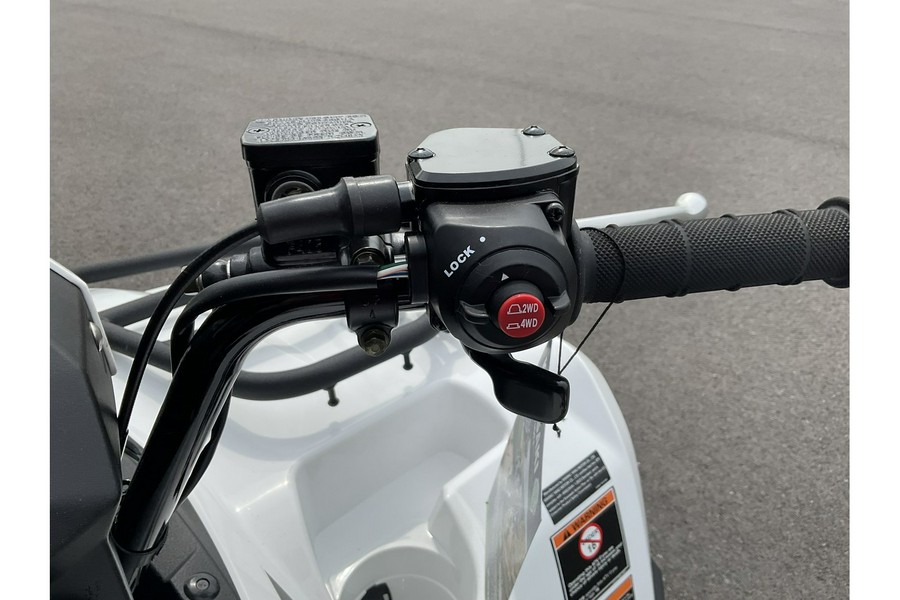 2025 Kawasaki Brute Force® 450 4x4