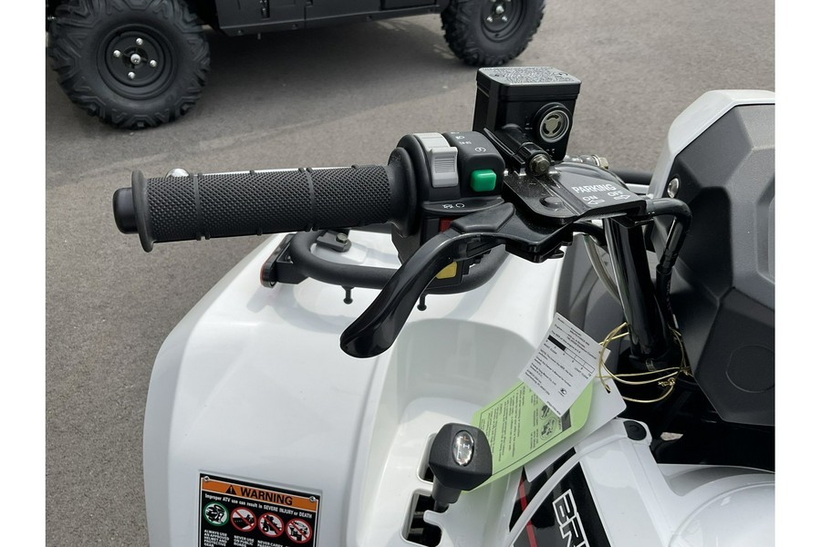 2025 Kawasaki Brute Force® 450 4x4