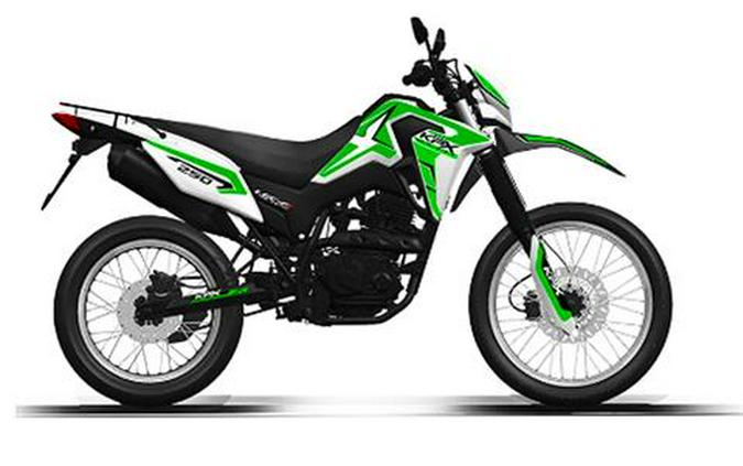 2023 American Lifan Inc. KPX250