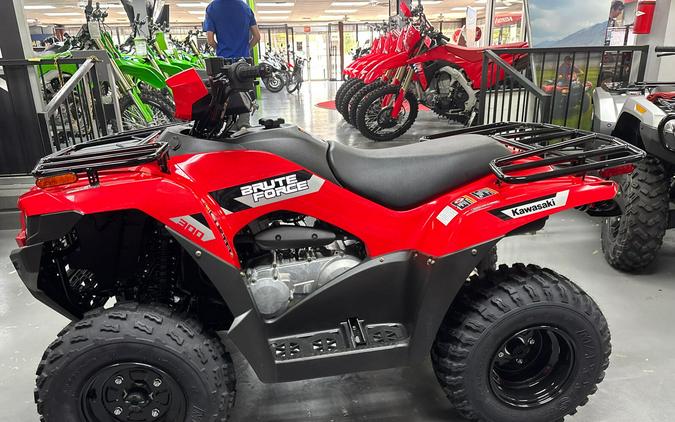 2026 Kawasaki Brute Force 300