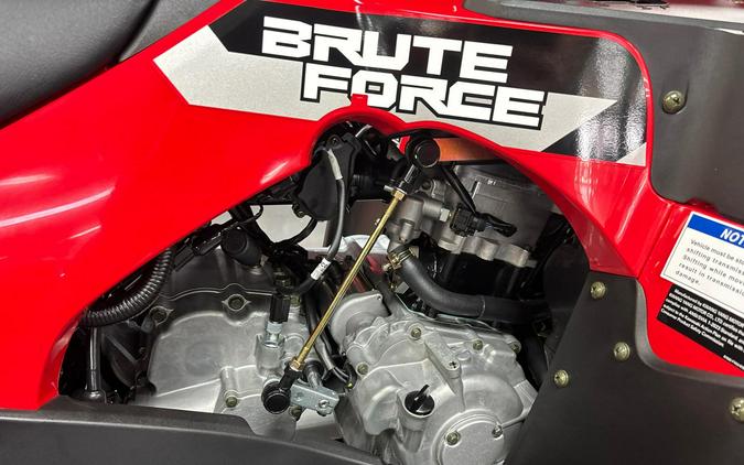 2026 Kawasaki Brute Force 300